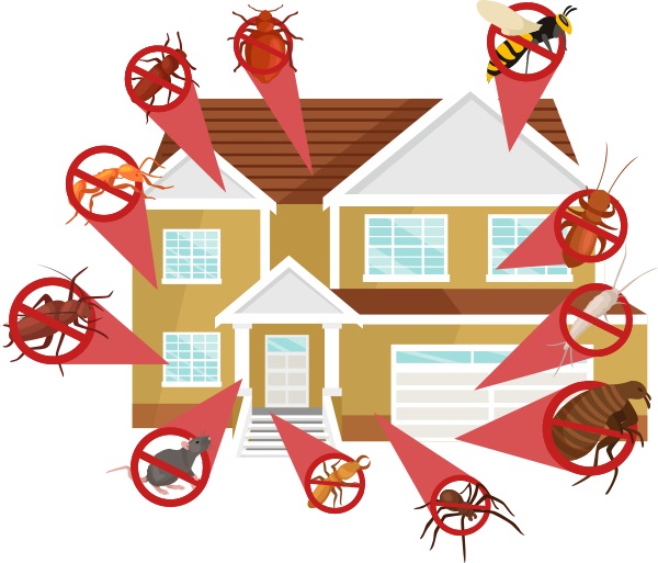 Affordable Exterminating Services Miami, FL 33101